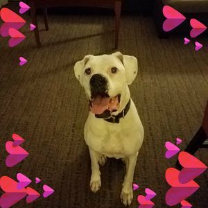 Meet your Posher, Angela